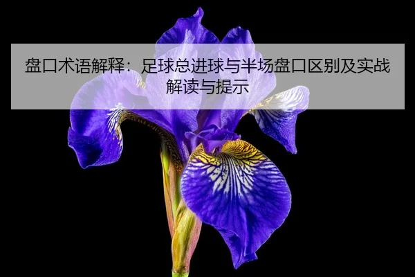 盘口术语解释：足球总进球与半场盘口区别及实战解读与提示