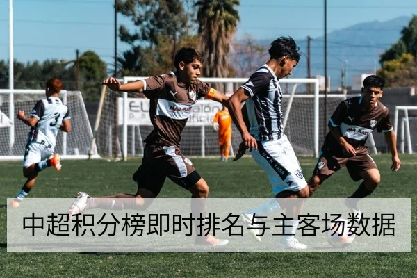 中超积分榜即时排名与主客场数据